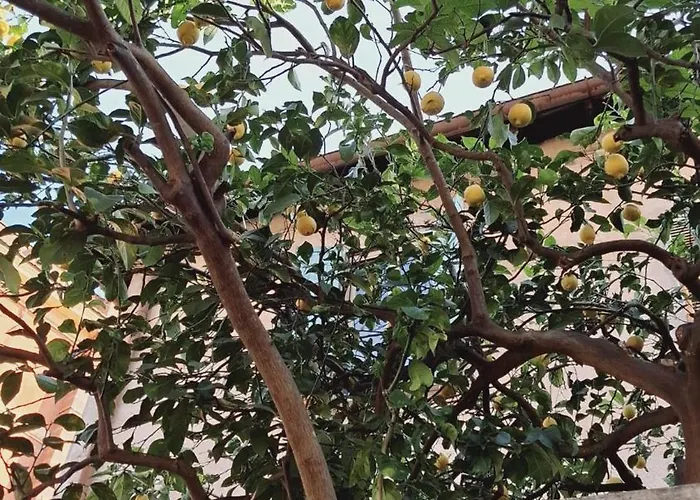 Casetta Garbatella Rom